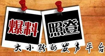 重庆新闻在哪儿能够爆料,市民爆料，聚焦民生热点问题  第1张